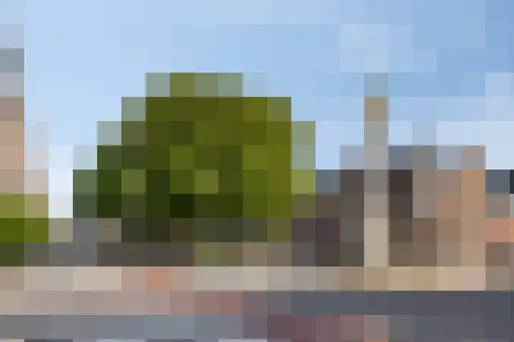 Boschveldweg 82 's-Hertogenbosch thumbnail 32