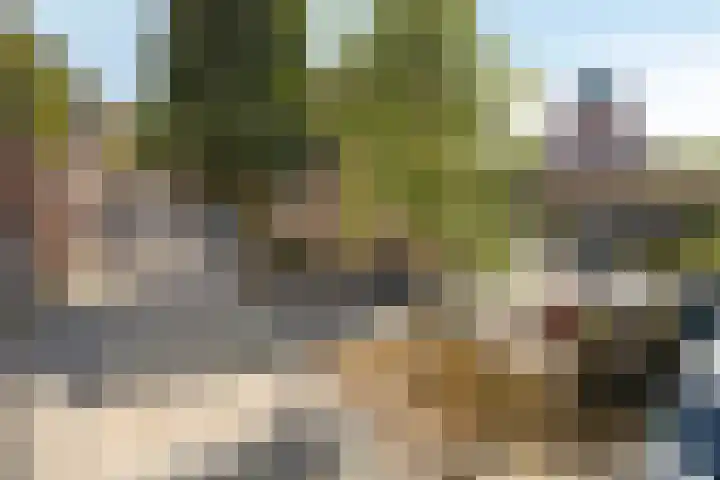 Boschveldweg 82 's-Hertogenbosch thumbnail 34