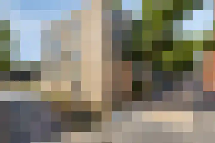 Boschveldweg 82 's-Hertogenbosch thumbnail 39