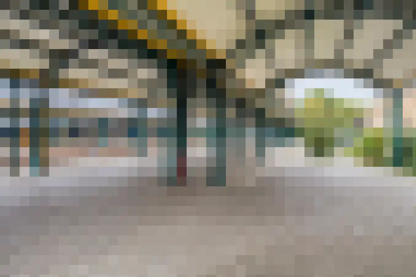 Boschveldweg 84 's-Hertogenbosch thumbnail 34