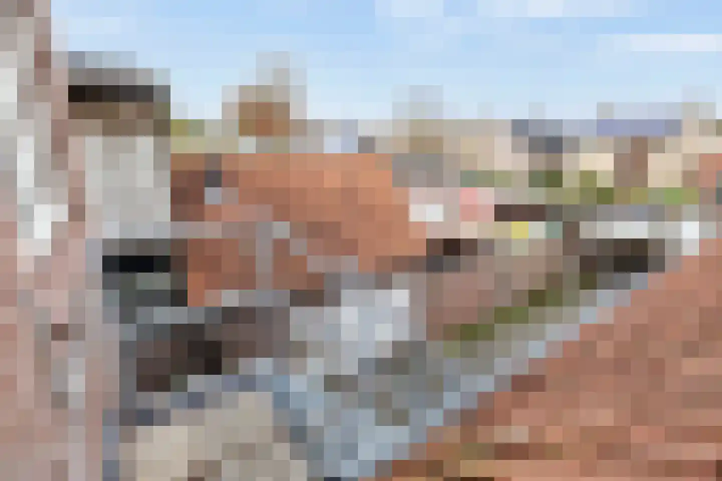 Boschweg 103 Schijndel thumbnail 33