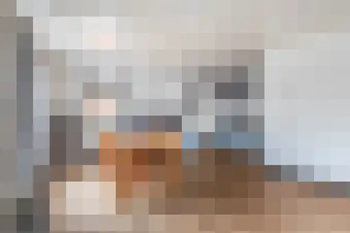 Boschweg 103 Schijndel thumbnail 37