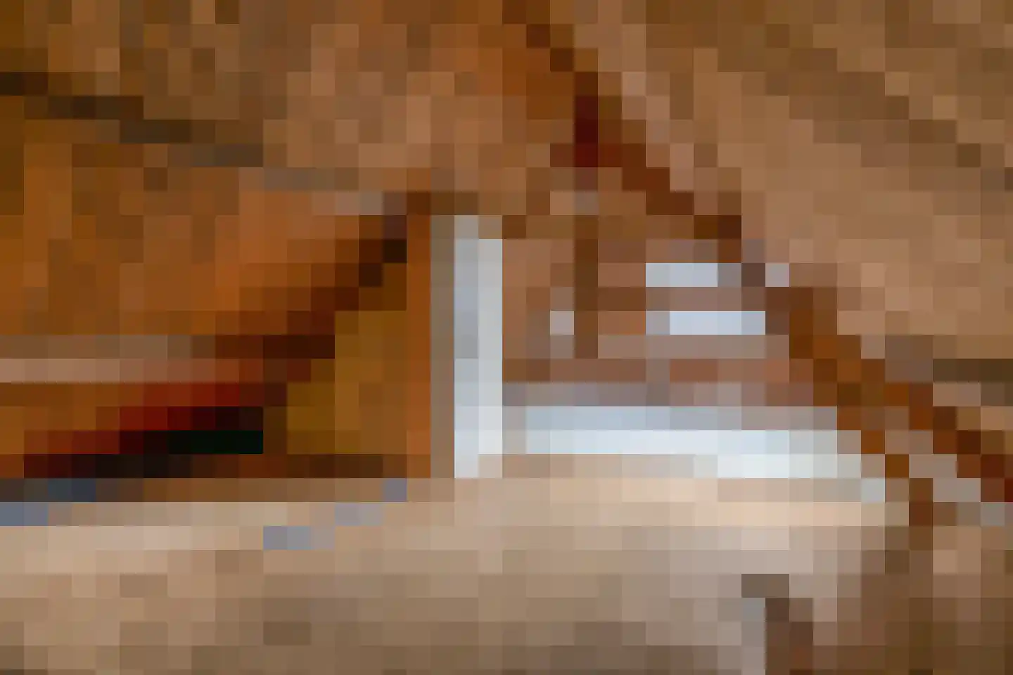 Boschweg 103 Schijndel thumbnail 51