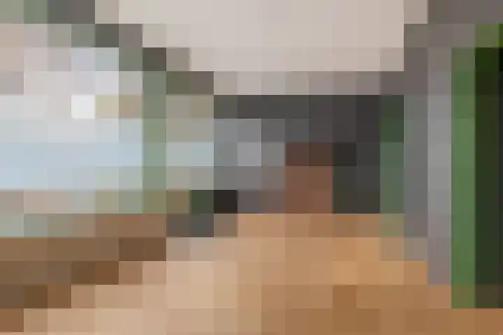 Boschweg 103 Schijndel thumbnail 8