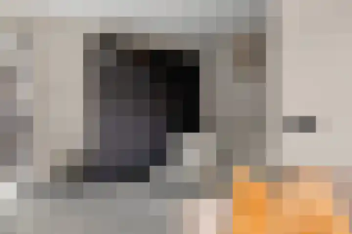 Boschweg 109 Schijndel thumbnail 9