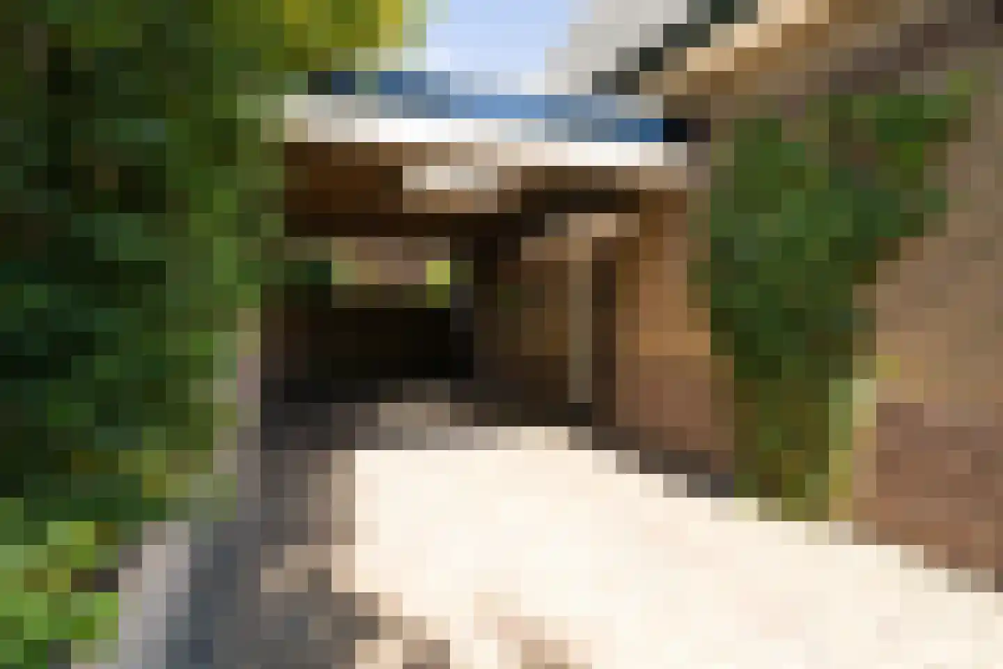 Boschweg 123 Schijndel thumbnail 10