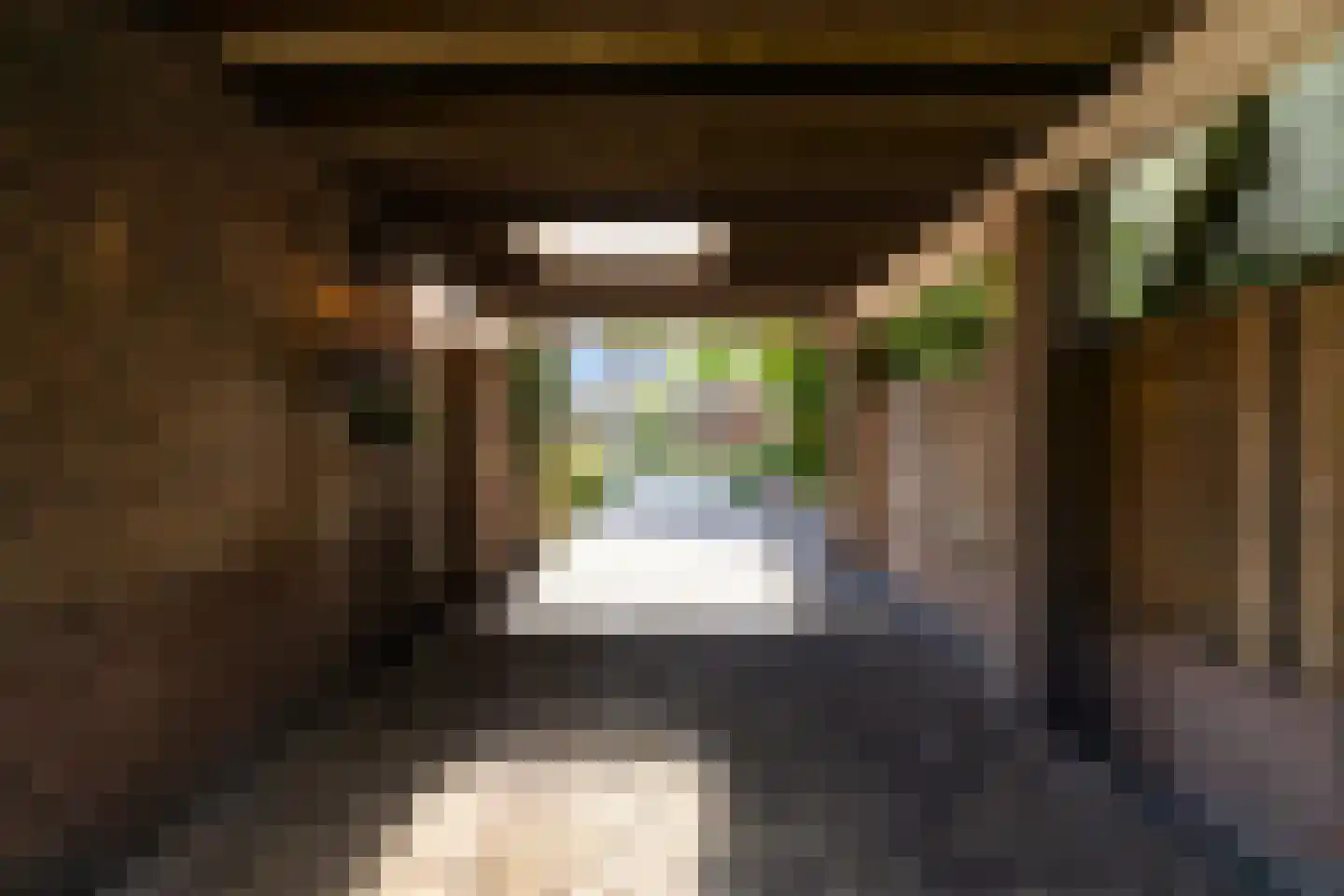 Boschweg 123 Schijndel thumbnail 11