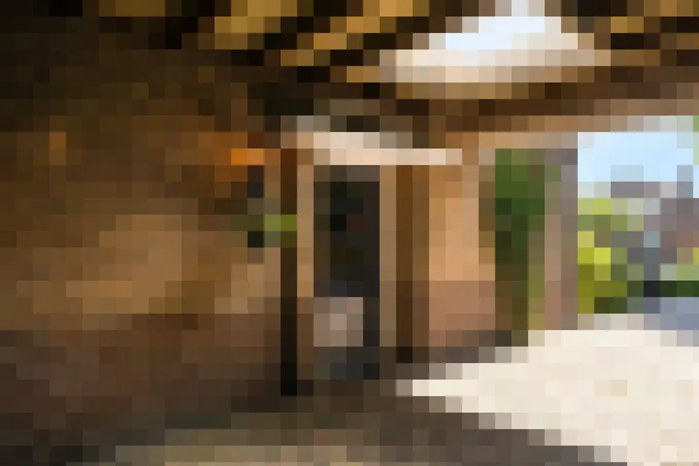 Boschweg 123 Schijndel thumbnail 12