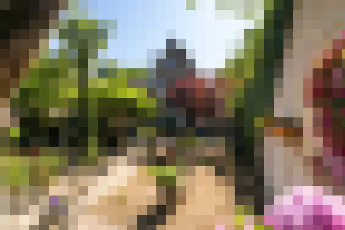 Boschweg 123 Schijndel thumbnail 4