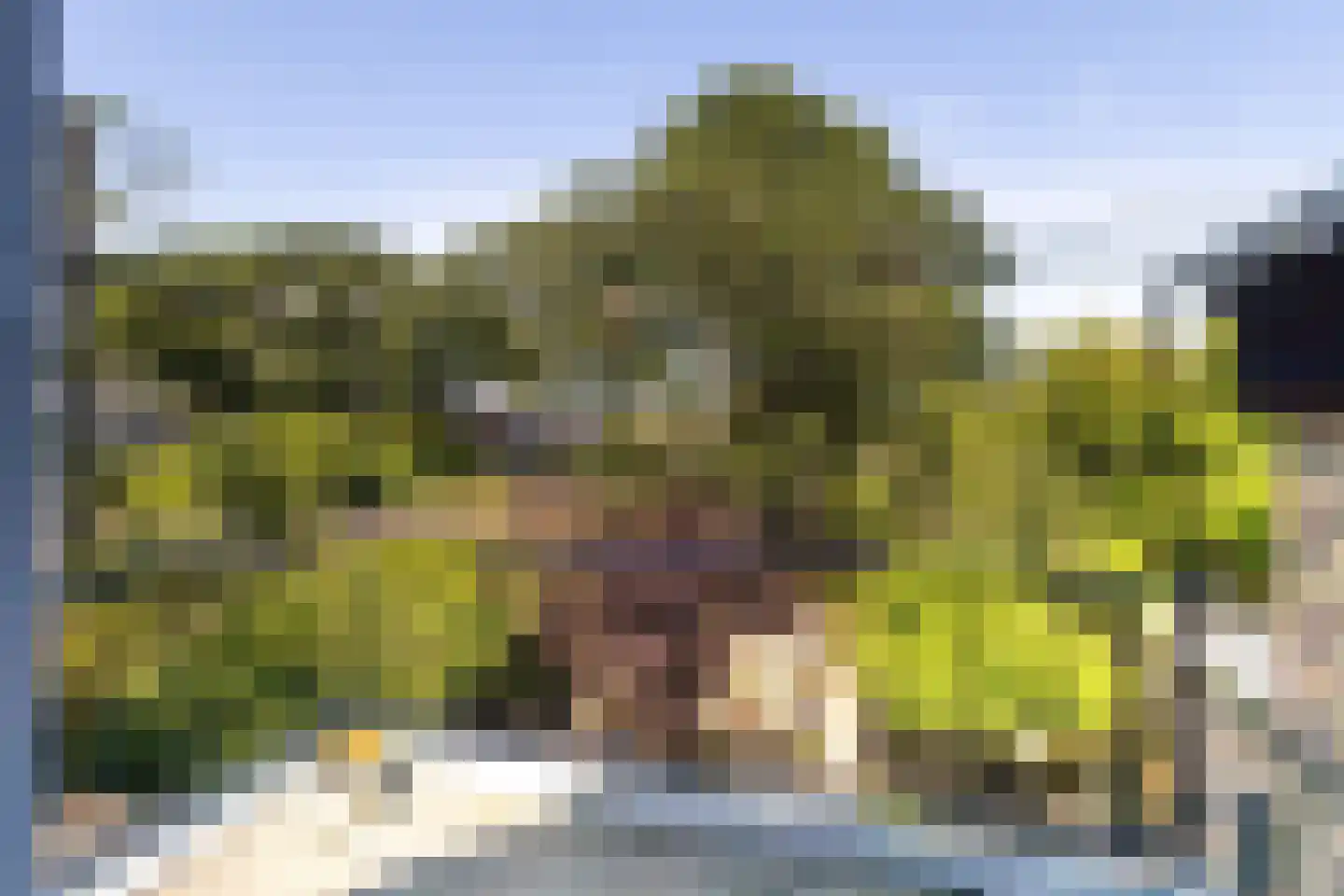 Boschweg 123 Schijndel thumbnail 60