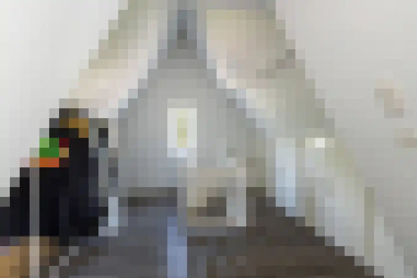 Boschweg 123 Schijndel thumbnail 64
