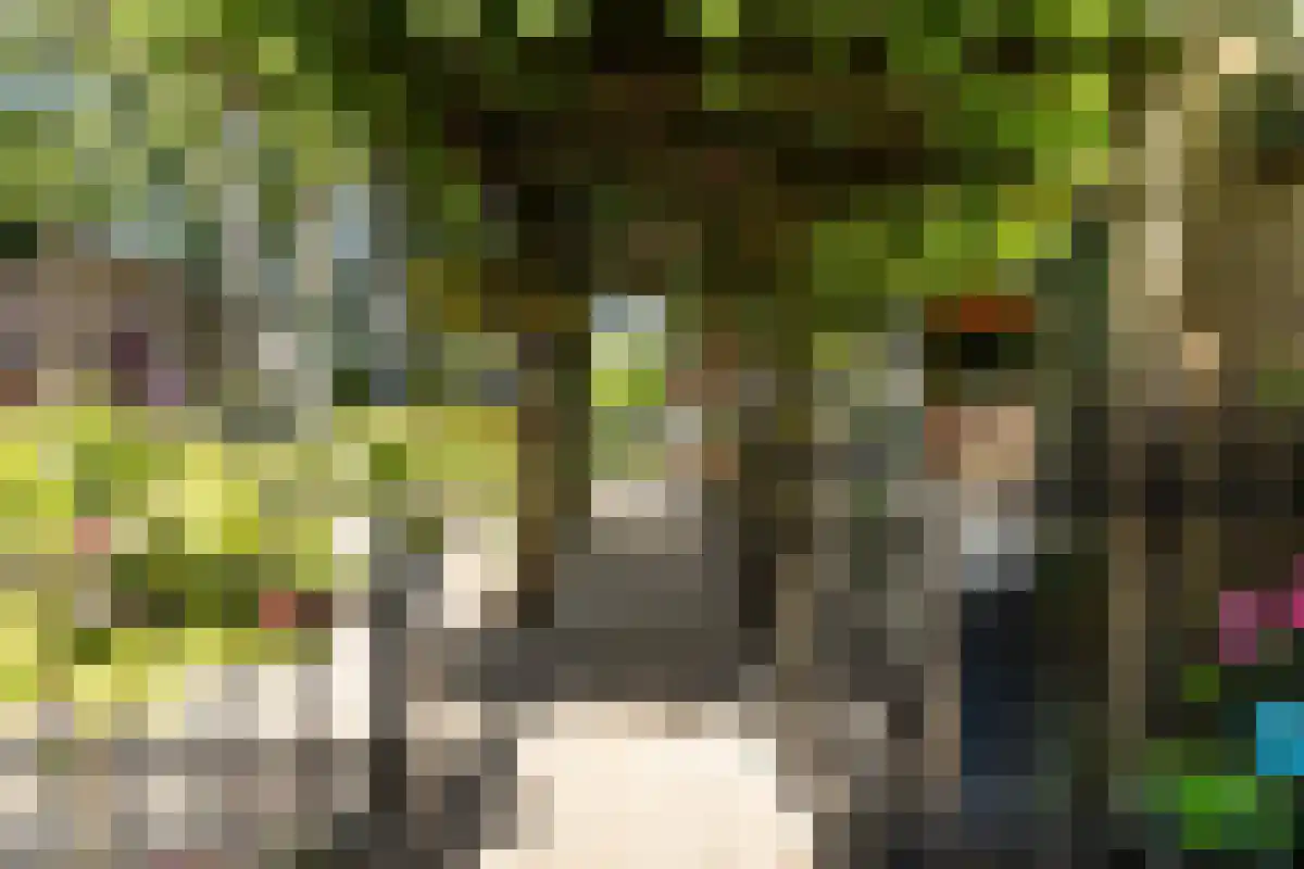 Boschweg 123 Schijndel thumbnail 69