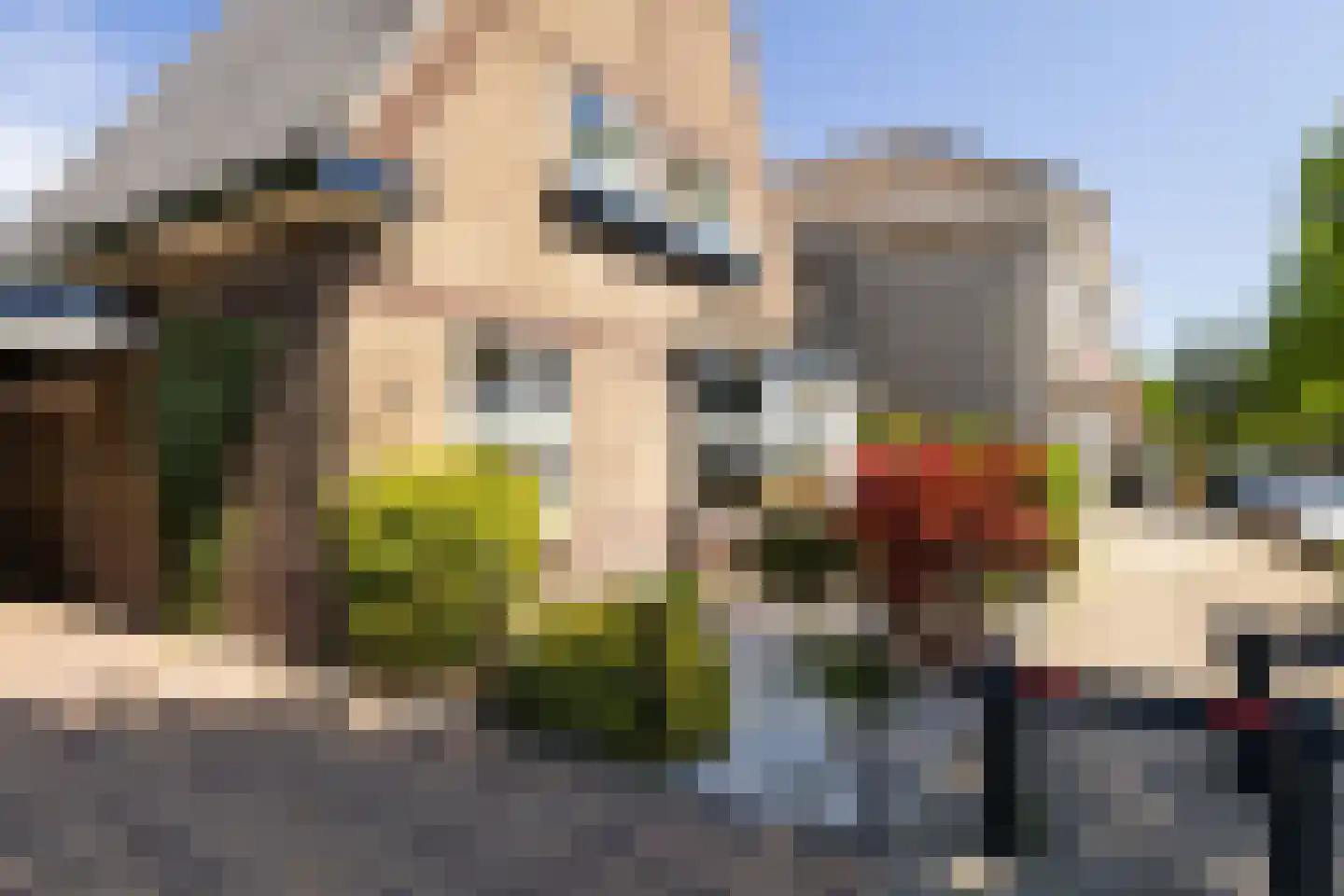 Boschweg 123 Schijndel thumbnail 7