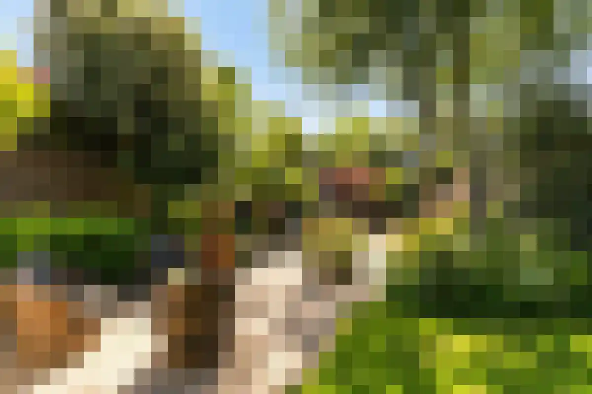 Boschweg 123 Schijndel thumbnail 74