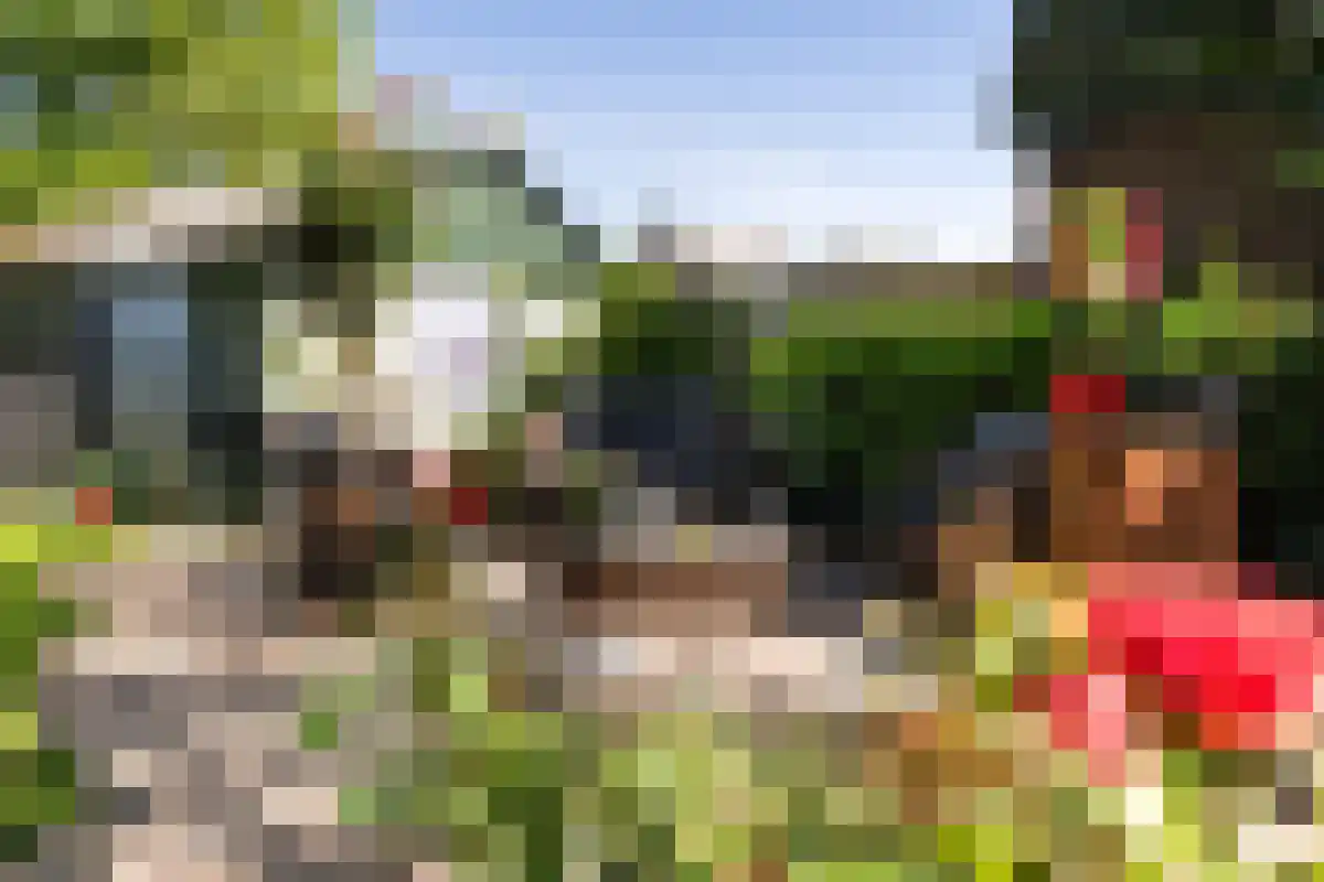 Boschweg 123 Schijndel thumbnail 75