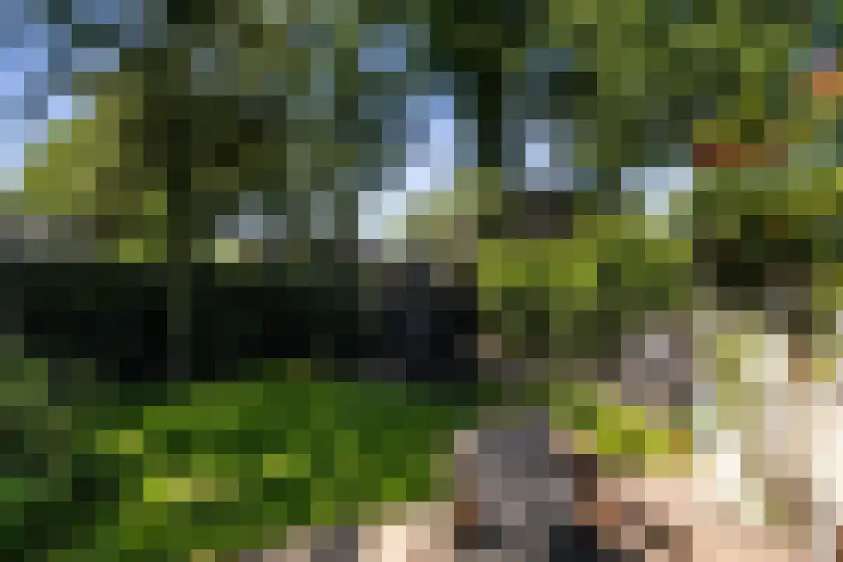 Boschweg 123 Schijndel thumbnail 78