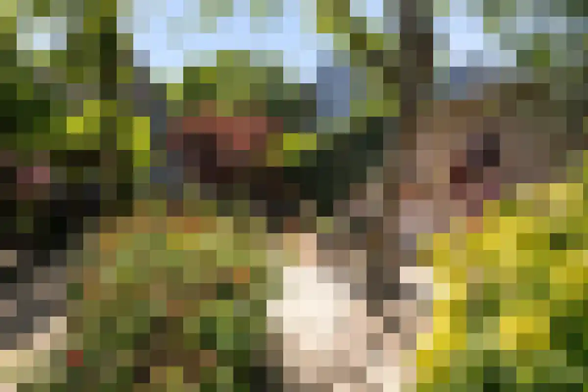 Boschweg 123 Schijndel thumbnail 79