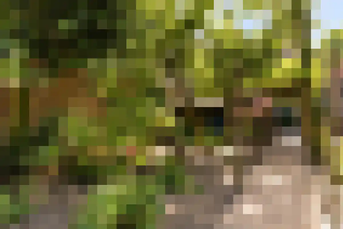 Boschweg 123 Schijndel thumbnail 81