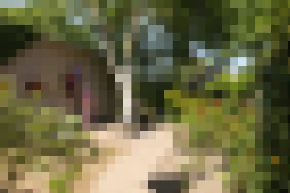 Boschweg 123 Schijndel thumbnail 82