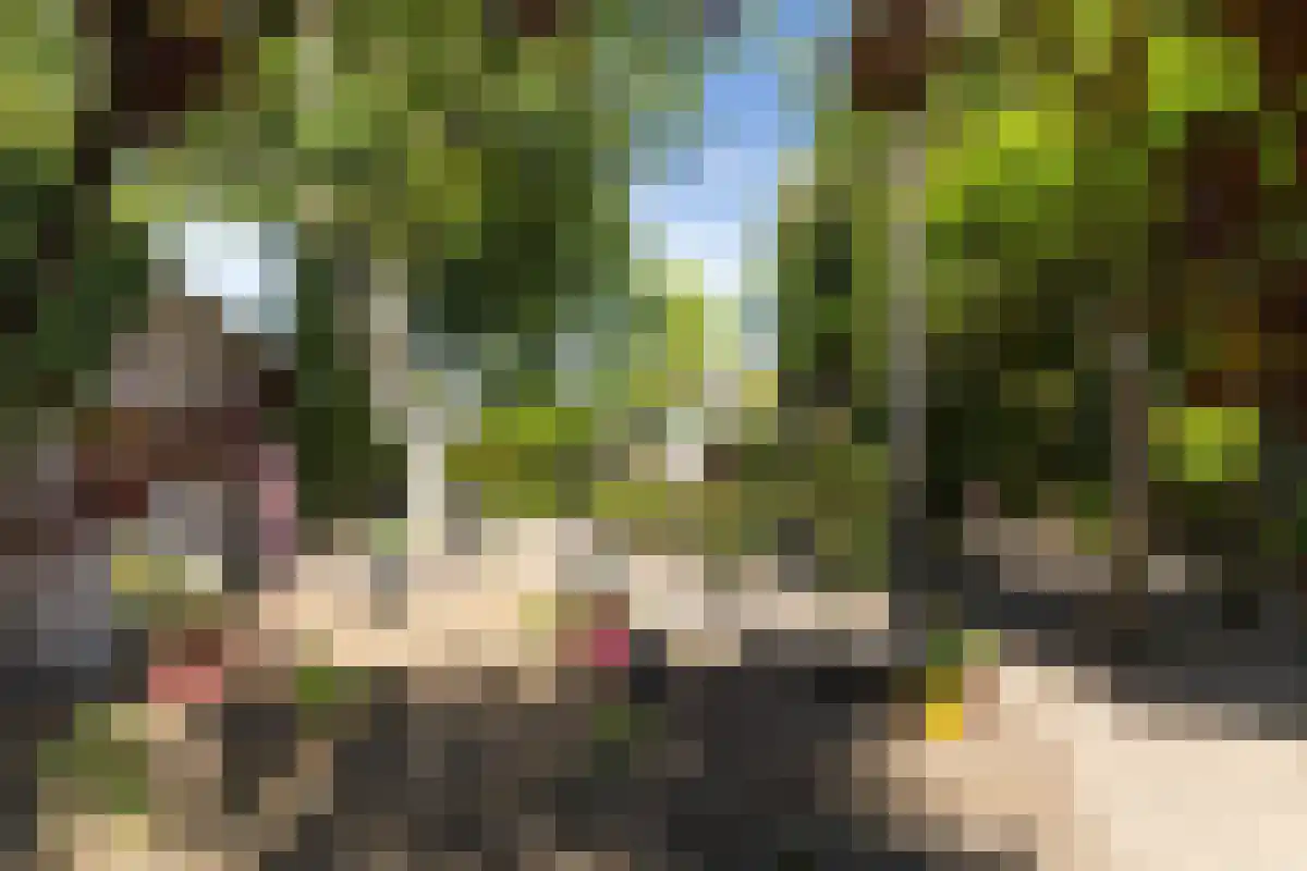 Boschweg 123 Schijndel thumbnail 83