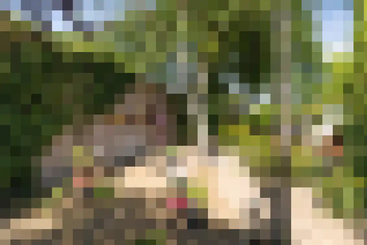 Boschweg 123 Schijndel thumbnail 84