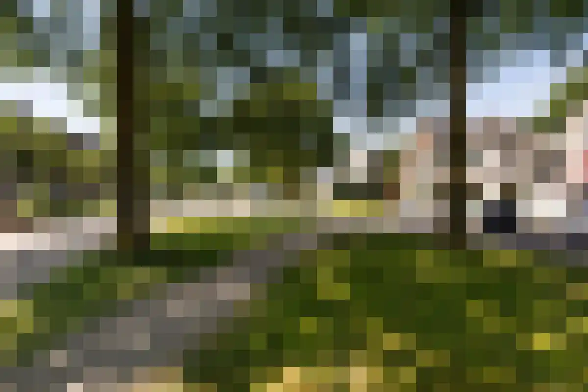 Boschweg 123 Schijndel thumbnail 88
