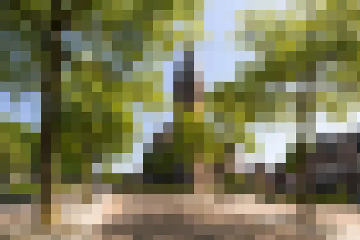 Boschweg 123 Schijndel thumbnail 89