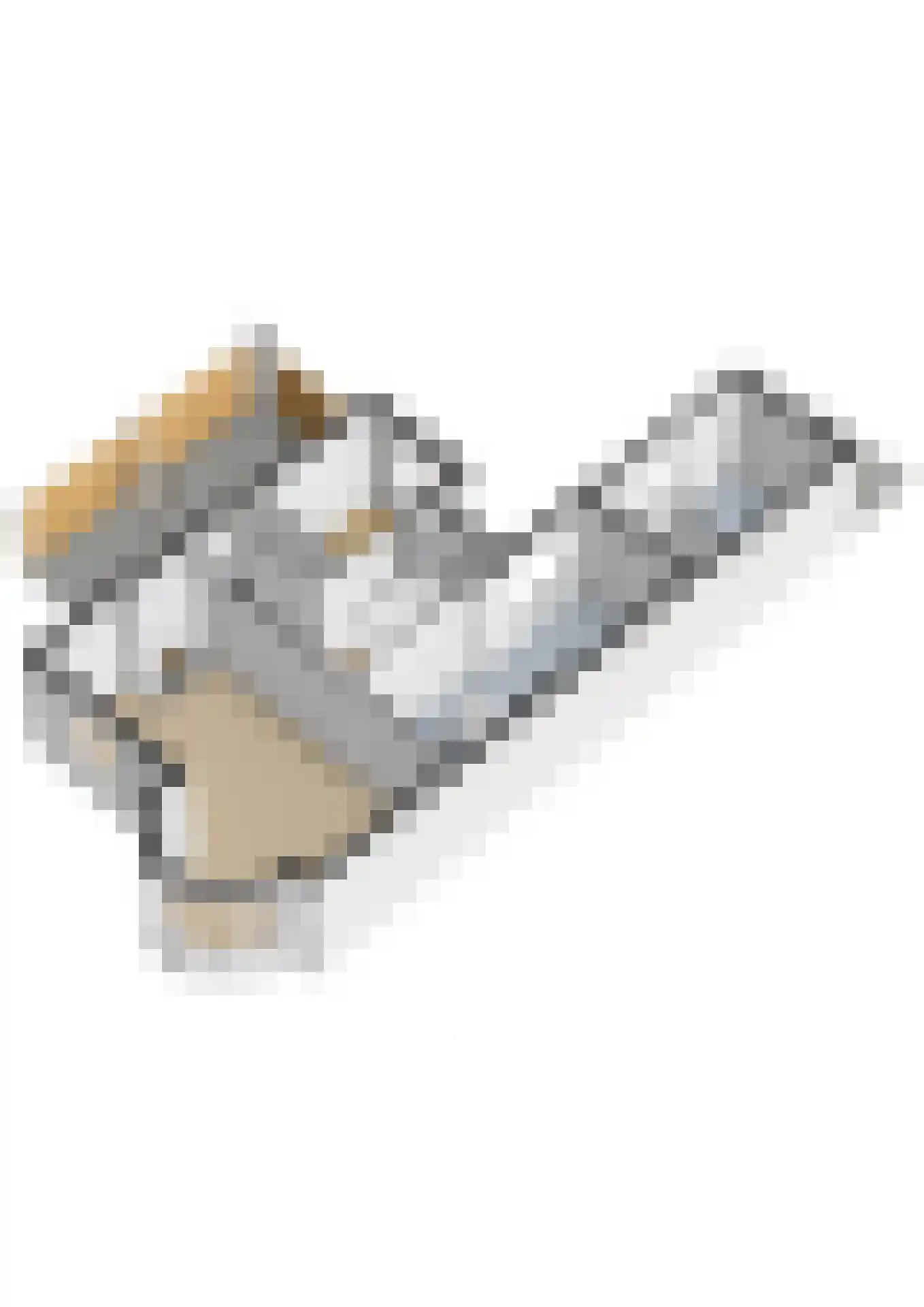 Boschweg 123 Schijndel thumbnail 97