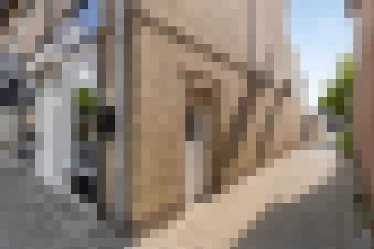 Boschweg 124 A Schijndel thumbnail 22