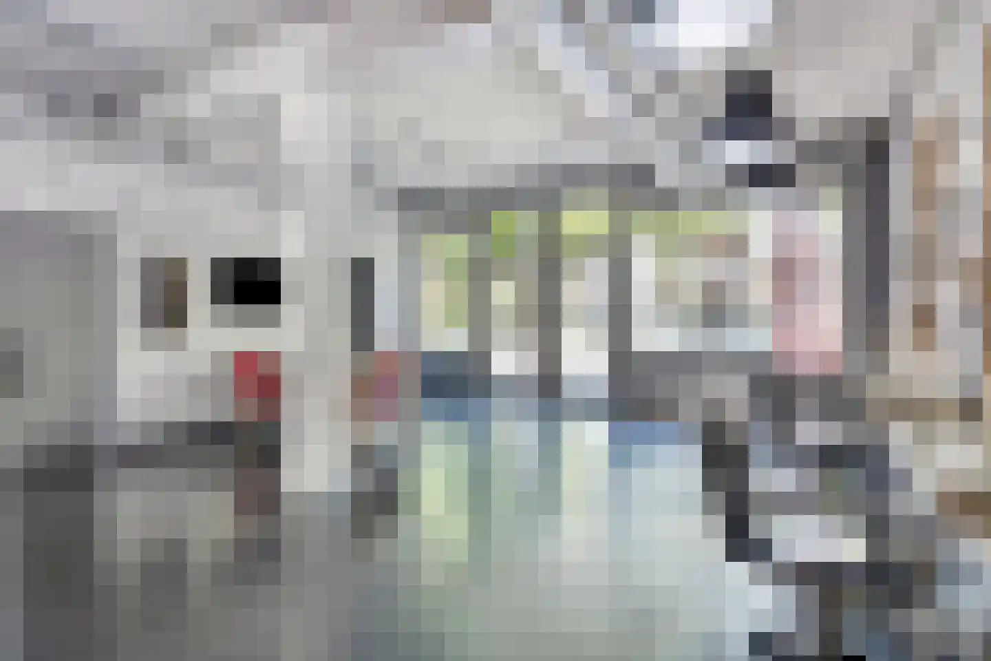 Boschweg 124 A Schijndel thumbnail 24