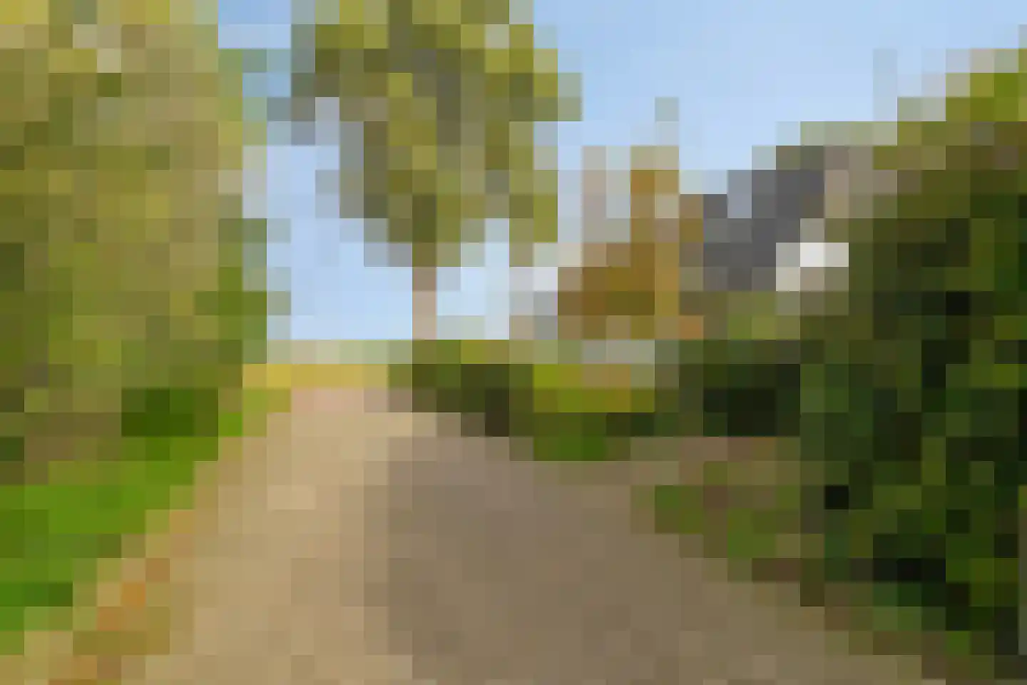 Boschweg 14 A Den Andel thumbnail 14