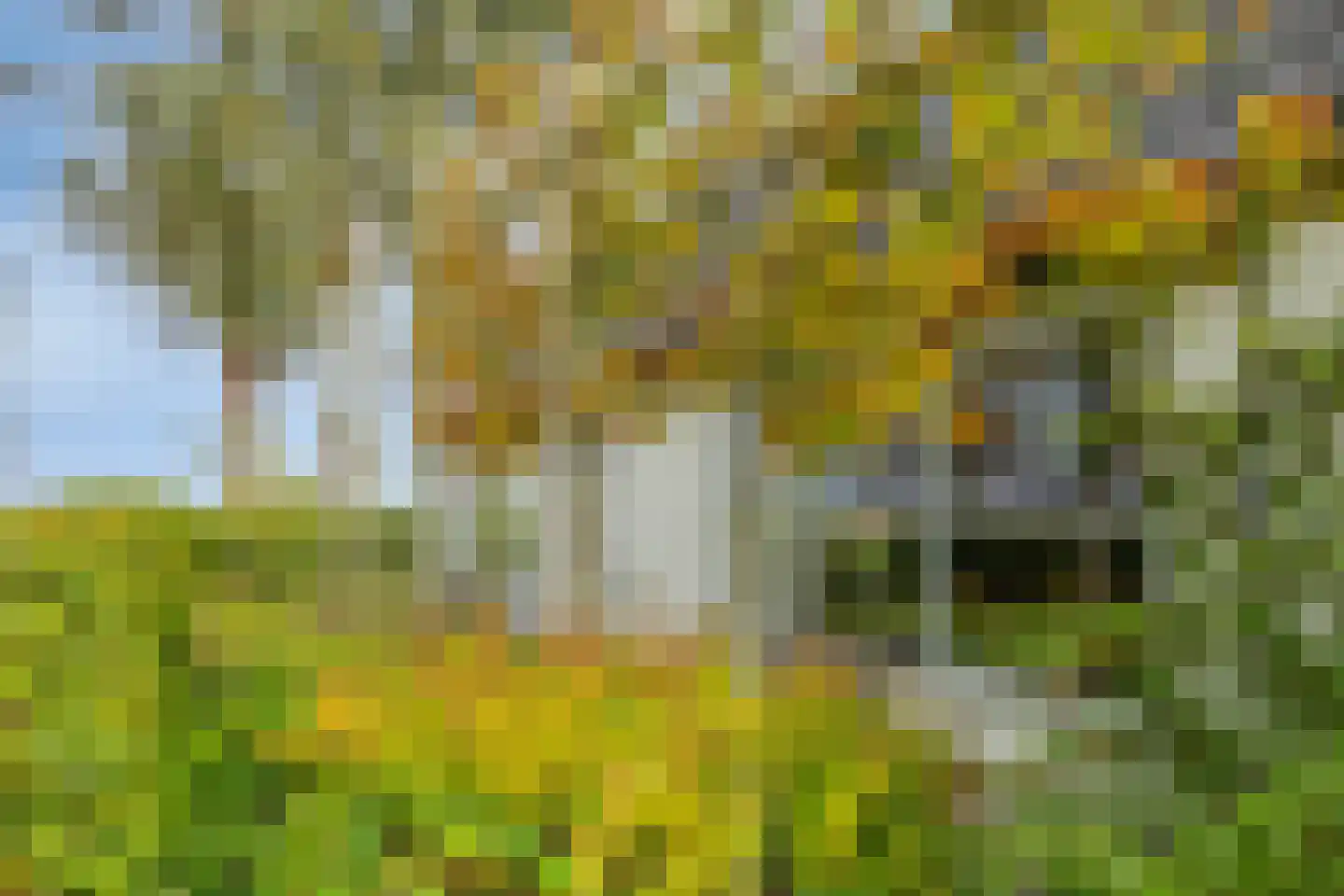 Boschweg 14 A Den Andel thumbnail 16