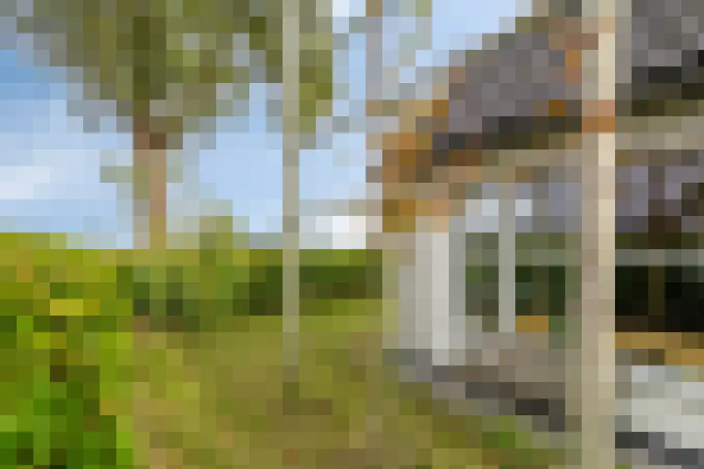 Boschweg 14 A Den Andel thumbnail 17