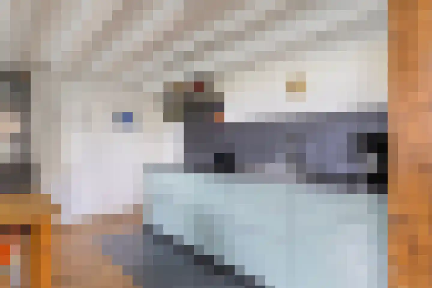 Boschweg 14 A Den Andel thumbnail 33