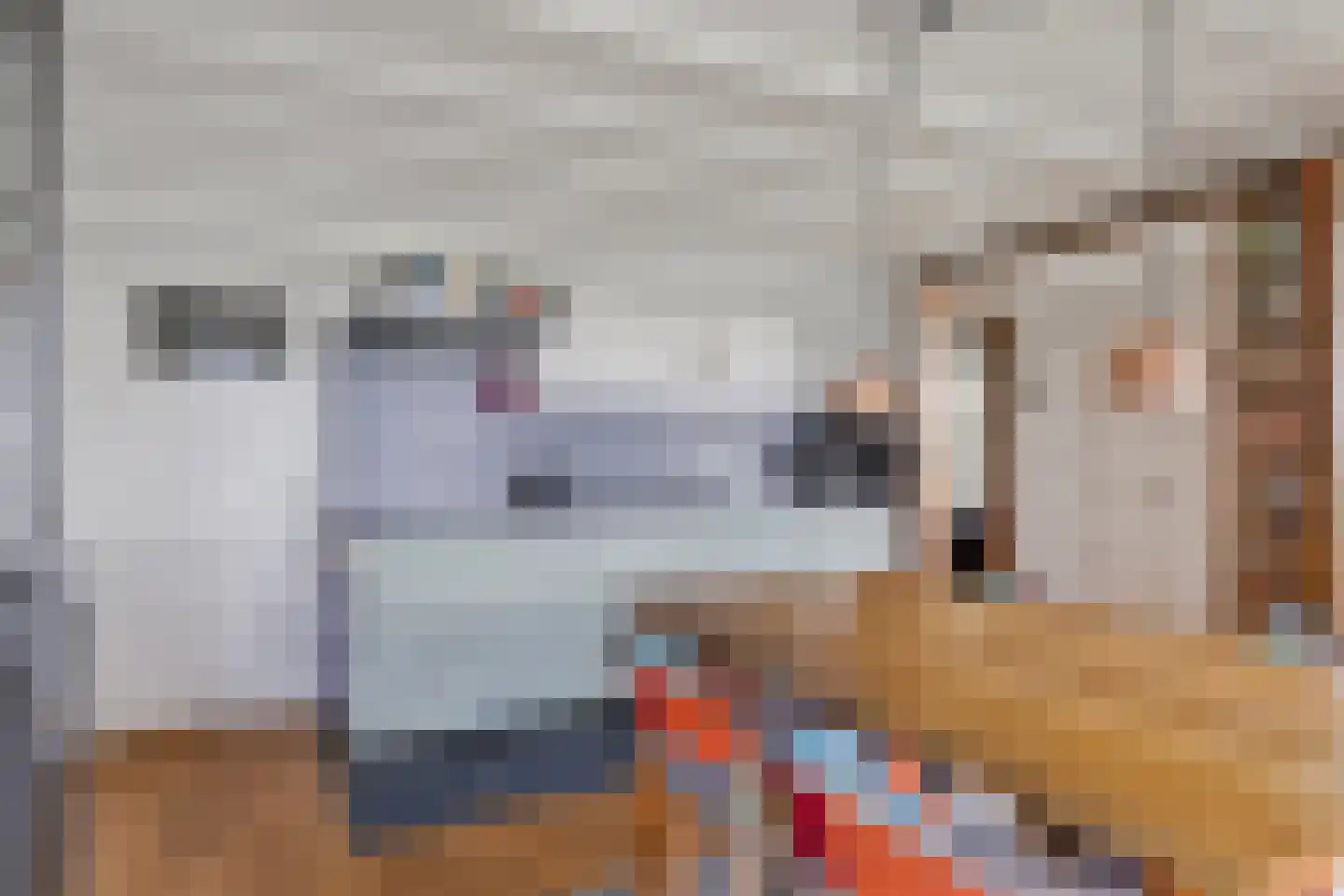 Boschweg 14 A Den Andel thumbnail 38