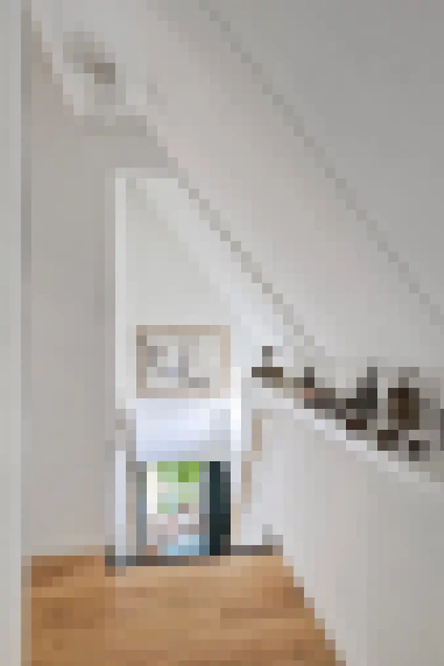 Boschweg 14 A Den Andel thumbnail 49