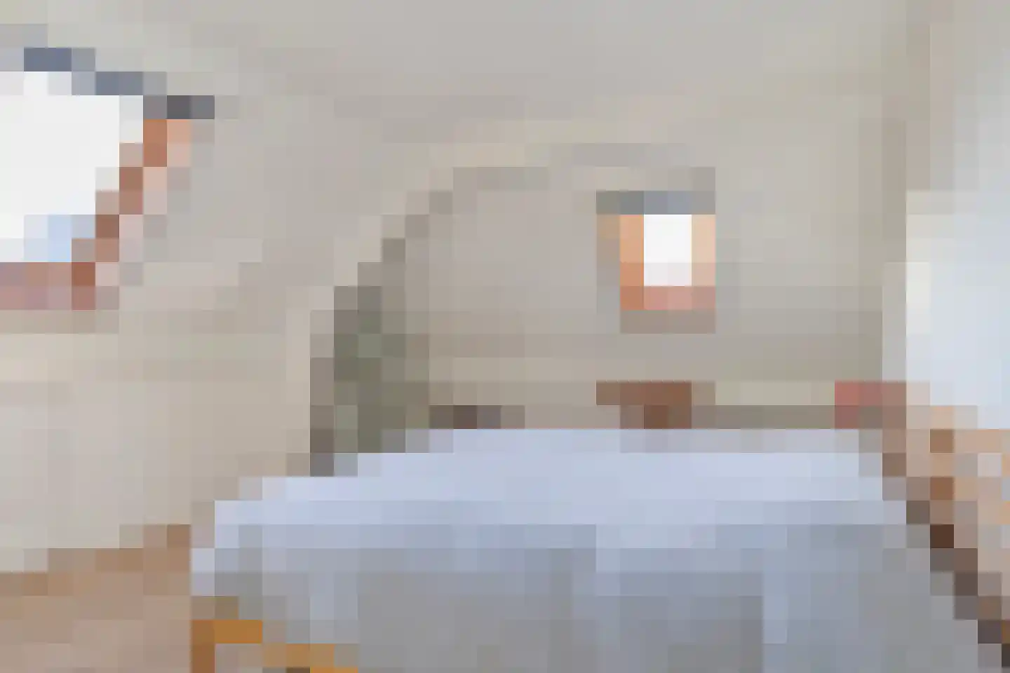 Boschweg 14 A Den Andel thumbnail 54