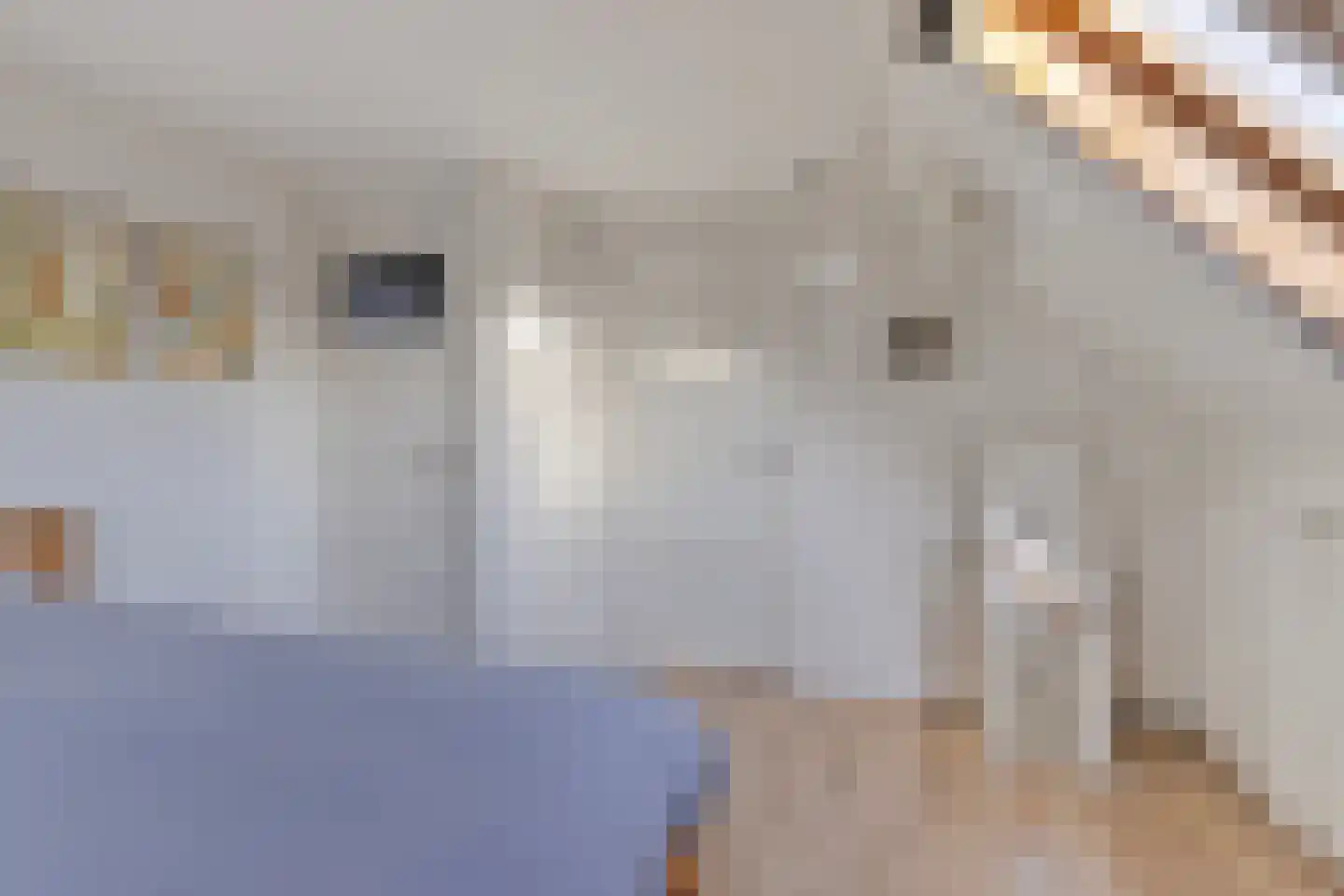 Boschweg 14 A Den Andel thumbnail 55