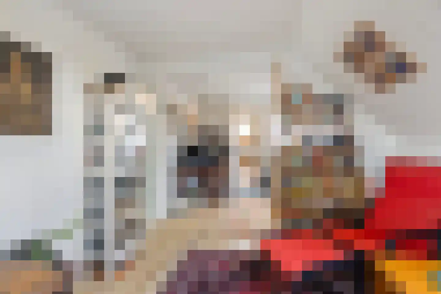 Boschweg 14 A Den Andel thumbnail 59