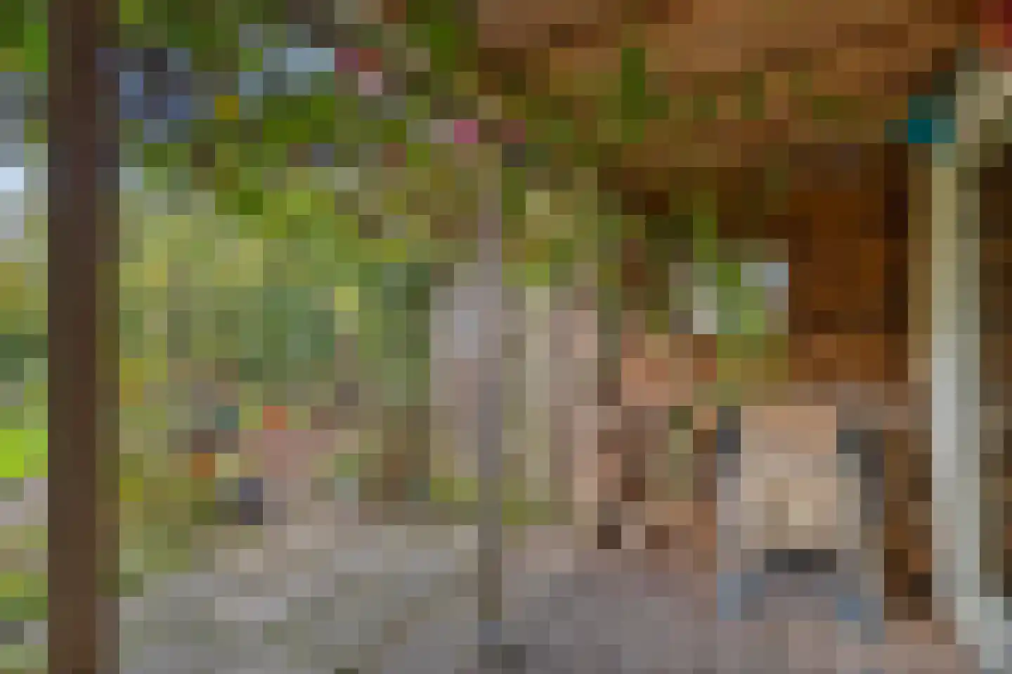 Boschweg 14 A Den Andel thumbnail 65