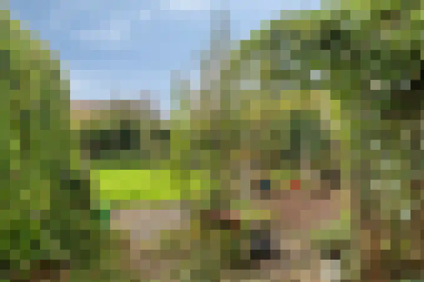 Boschweg 14 A Den Andel thumbnail 67