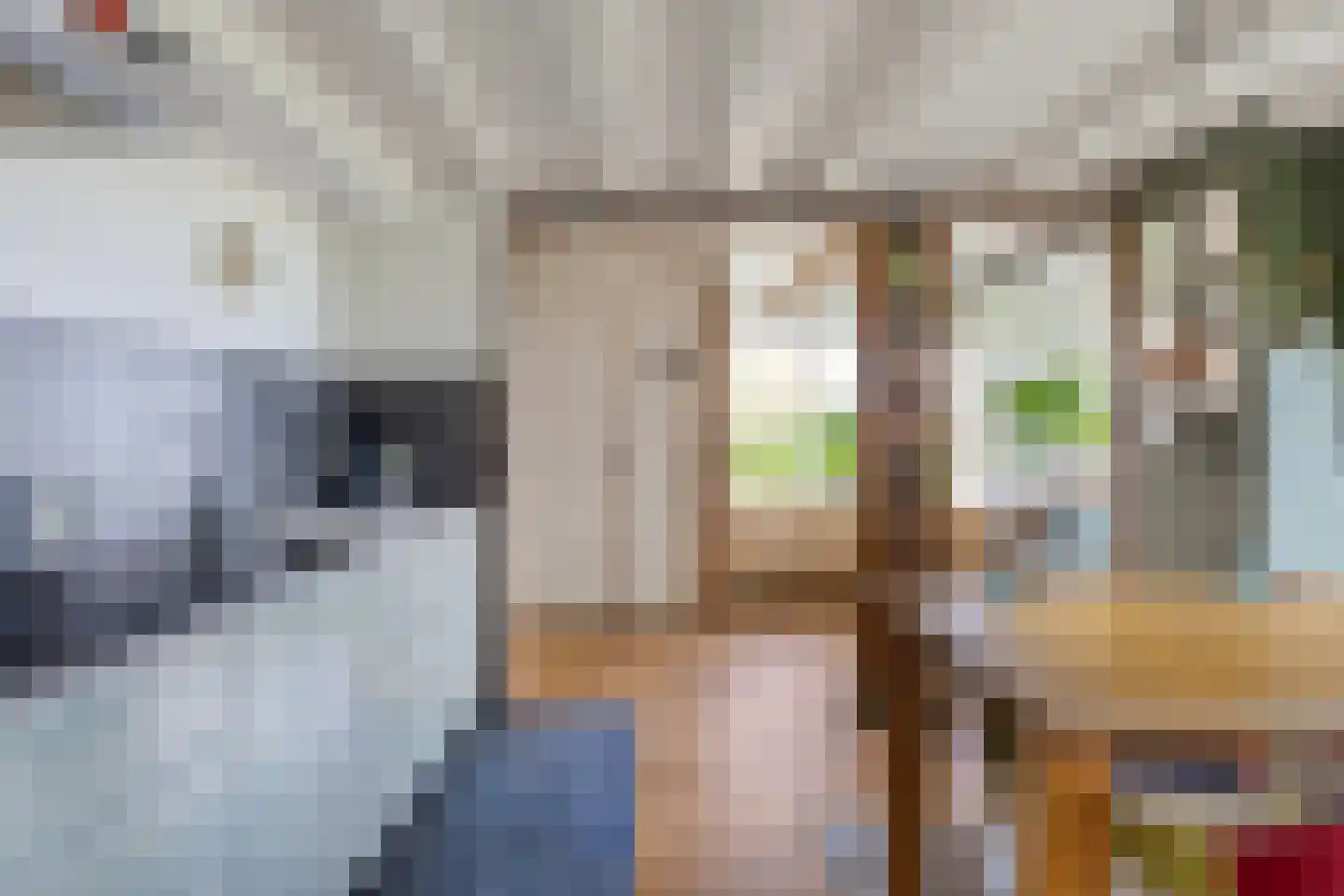 Boschweg 14 A Den Andel thumbnail 7