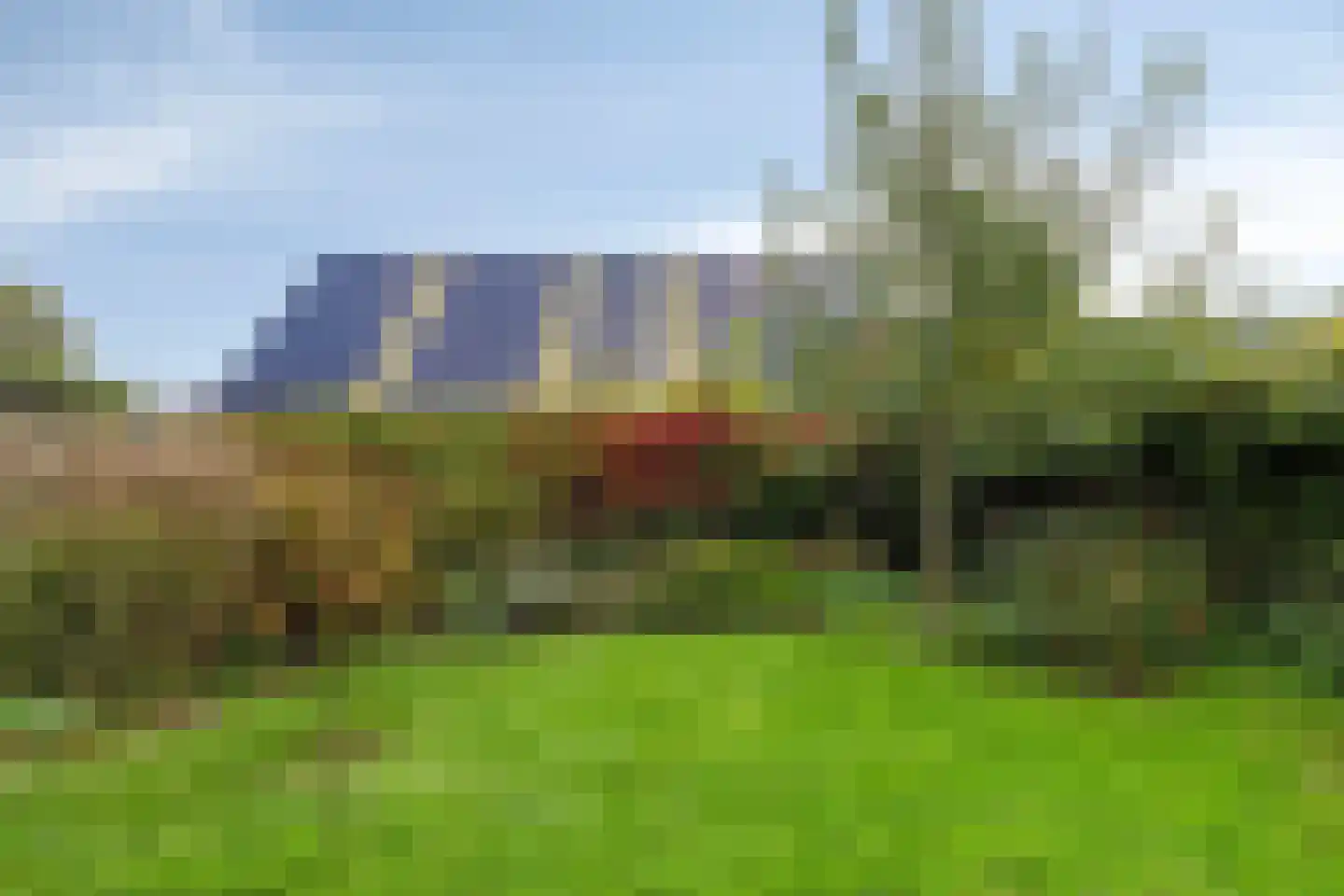 Boschweg 14 A Den Andel thumbnail 71