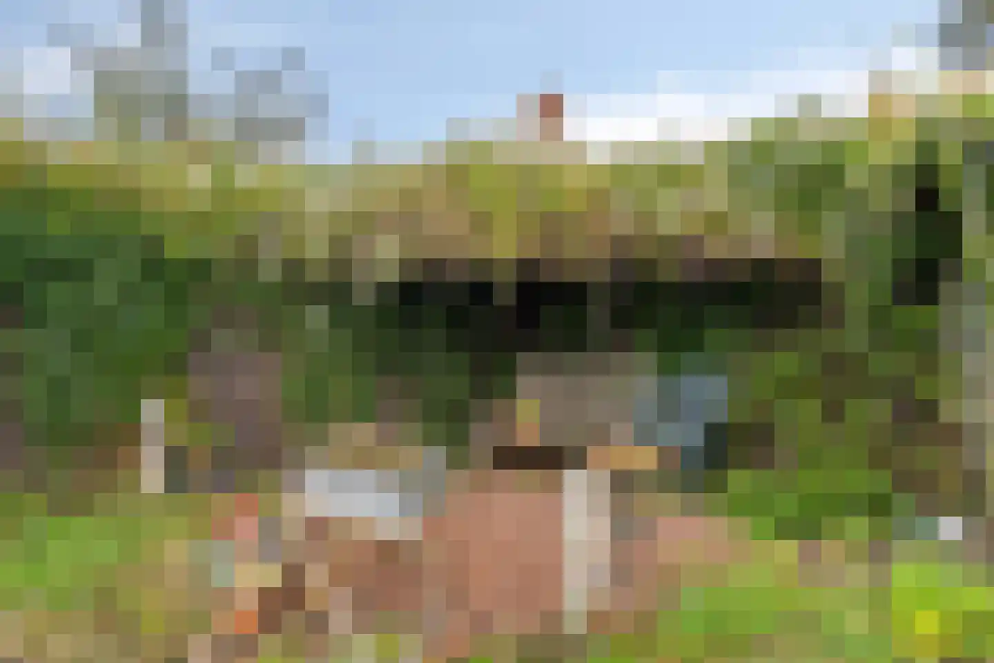 Boschweg 14 A Den Andel thumbnail 72