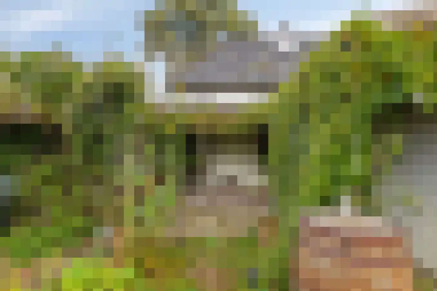 Boschweg 14 A Den Andel thumbnail 73