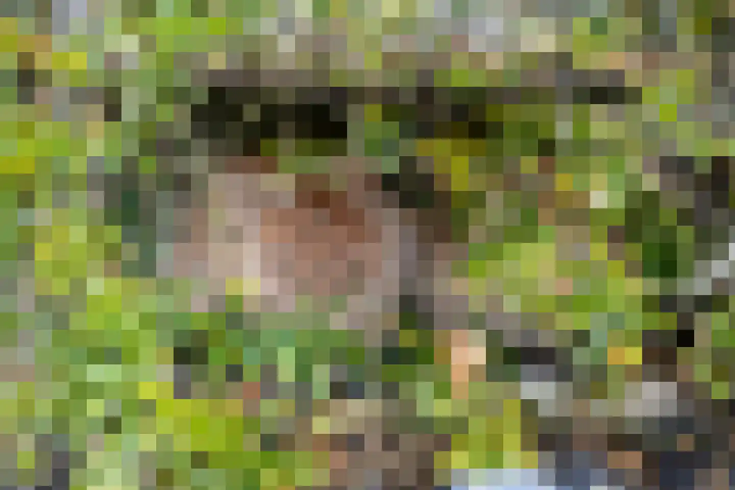 Boschweg 14 A Den Andel thumbnail 74
