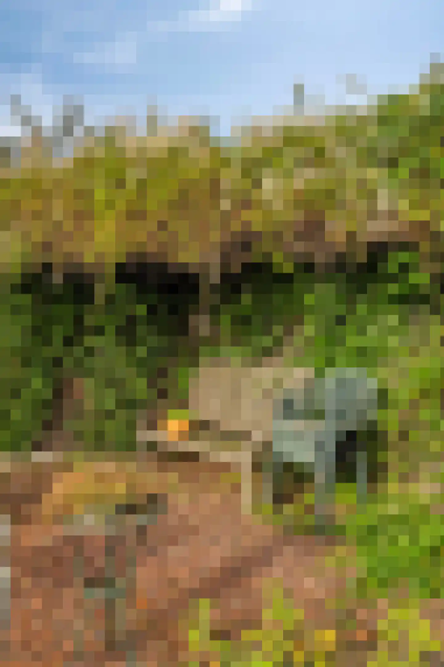Boschweg 14 A Den Andel thumbnail 76