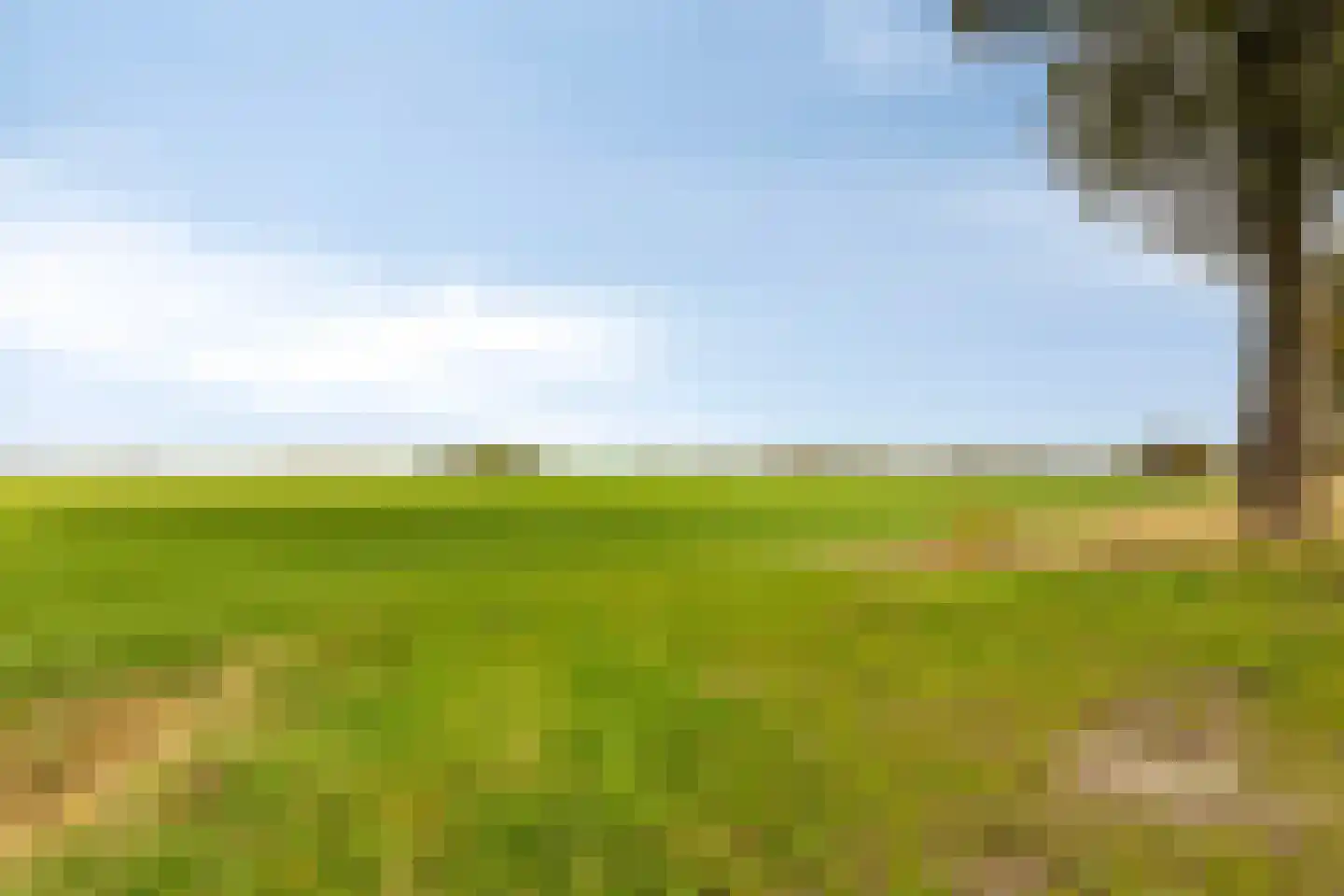 Boschweg 14 A Den Andel thumbnail 78