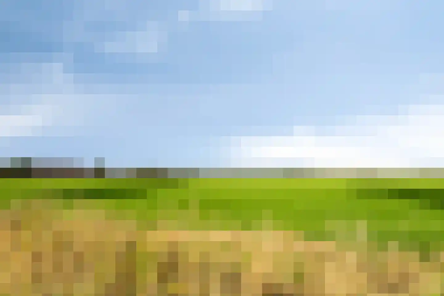 Boschweg 14 A Den Andel thumbnail 79