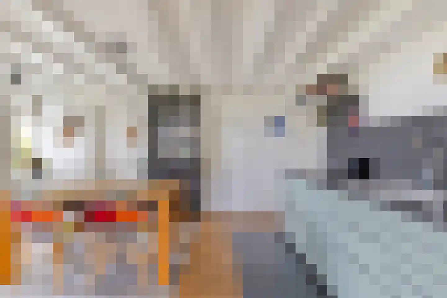 Boschweg 14 A Den Andel thumbnail 8